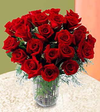 24 Beautiful Long Stem Roses