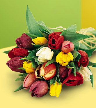 15 Hand Tied Mixed Tulip Bouquet