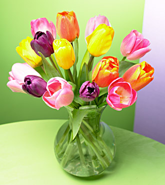 20 Stem of Beautiful Tulip Bouquet