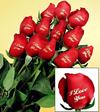 One Dozen Speaking "I Love You" Red Roses