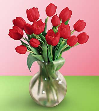 red tulips bouquet