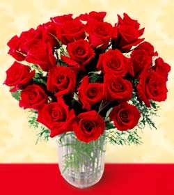Premium 2 Dozen Long Stemmed Red Rose Bouquet
