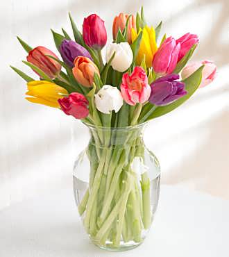Mother's Day