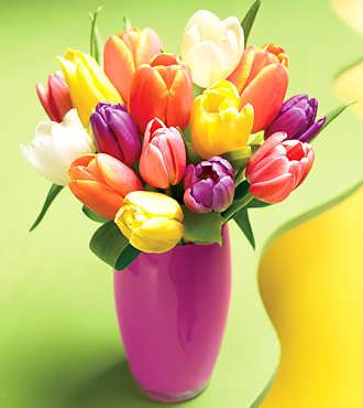 Spring Tulip Bouquet