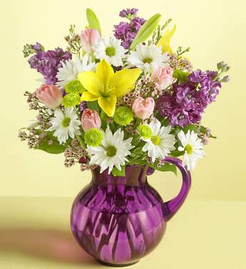 Our Fields of Europe for Spring in a Pitcher