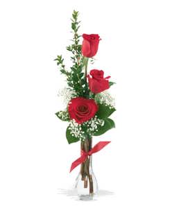 3 Red Roses