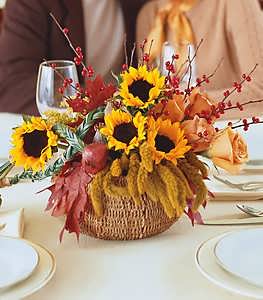Autumn Harvest