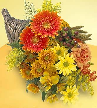 Bountiful Color™ Cornucopia Bountiful Color™ Cornucopia