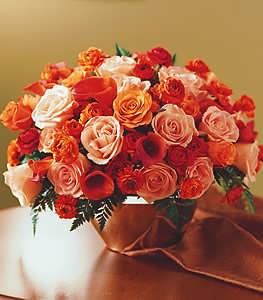 Abundant Glory Rose