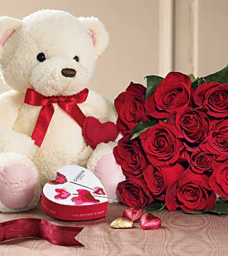 Red Roses and Cuddles the Bear