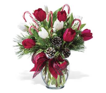 Peppermint Tulips