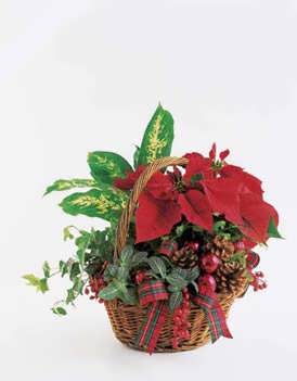 Holiday Planter Basket Holiday Planter Basket