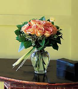 Perfectly Peachy Roses