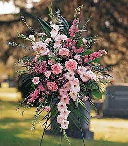 Flowers To All Presents Pink Promise Spray