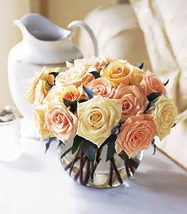 Perfect Pastel Roses