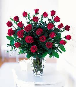 Two Dozen Ecuadorian Red Roses