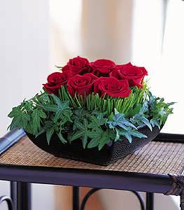 Simply Roses