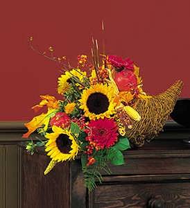 Autumn Cornucopia