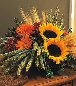 Sunflower Harvest