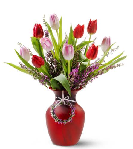 Tempting Tulips