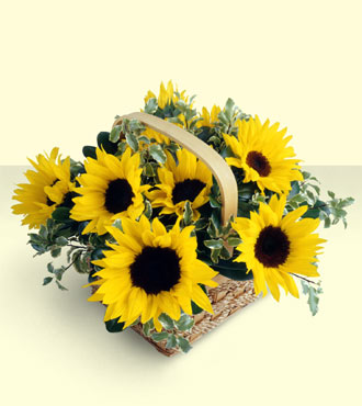Sunflower Basket