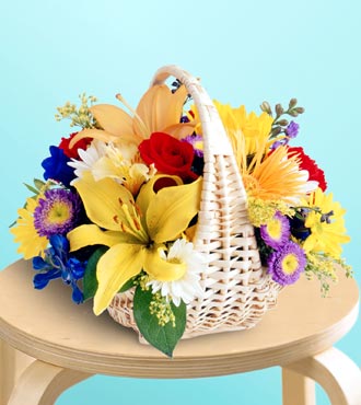 Garden Basket Garden Basket