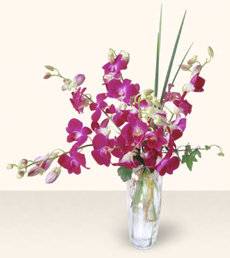 Pacific Paradise Arrangement