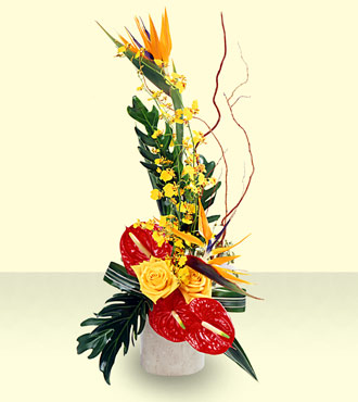 Tropical Bright Arrangement
