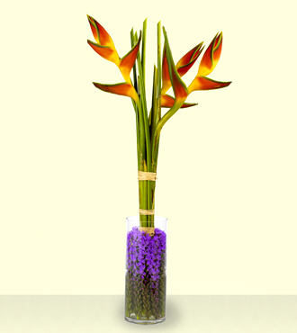 Tropic Sun Bouquet