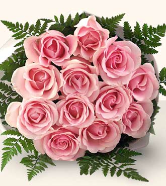 1 Dozen Precious Pink Roses