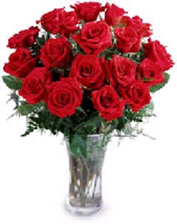 18 Beatuful Roses in a Vase