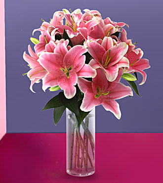 10 Stem Fresh Cuts StarGazer Lilies