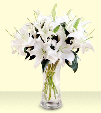 10 Stems of fragrant white lily