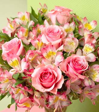 Dreamland Pink (8) Bouquet - Deluxe