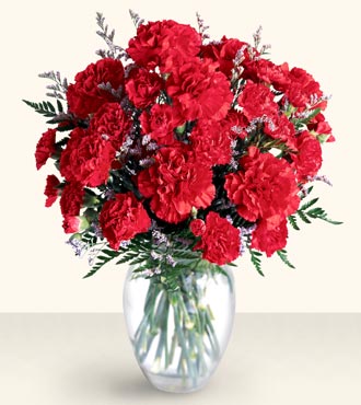 2 Dozen Carnation Bouquet