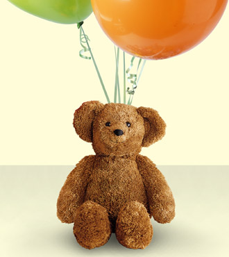 Bear and Balloon Bunch