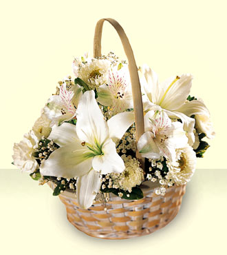Divinity Basket