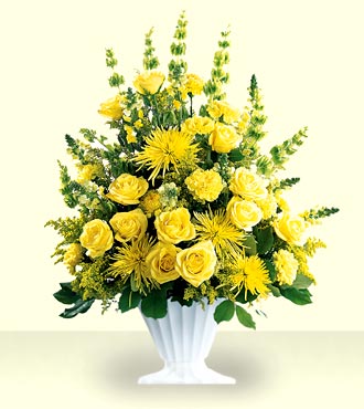 Glowing Ray Arrangement